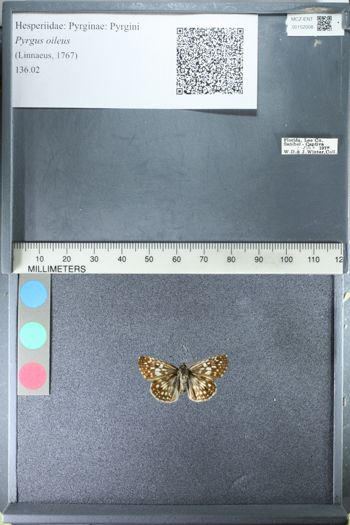 Media type: image;   Entomology 152008